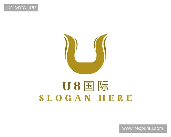 介绍U8国际集团